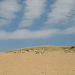 Bonbeaujoli
