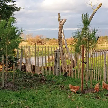 Bonbeaujoli Saint-Jean-de-Monts