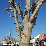 Bonbeaujoli 4*