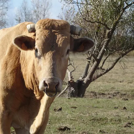 Bonbeaujoli Bed & Breakfast