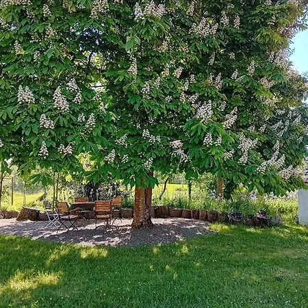 Bonbeaujoli * Saint-Jean-de-Monts