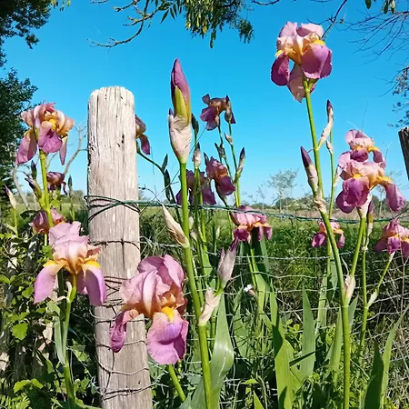 Bed & Breakfast Bonbeaujoli 3*