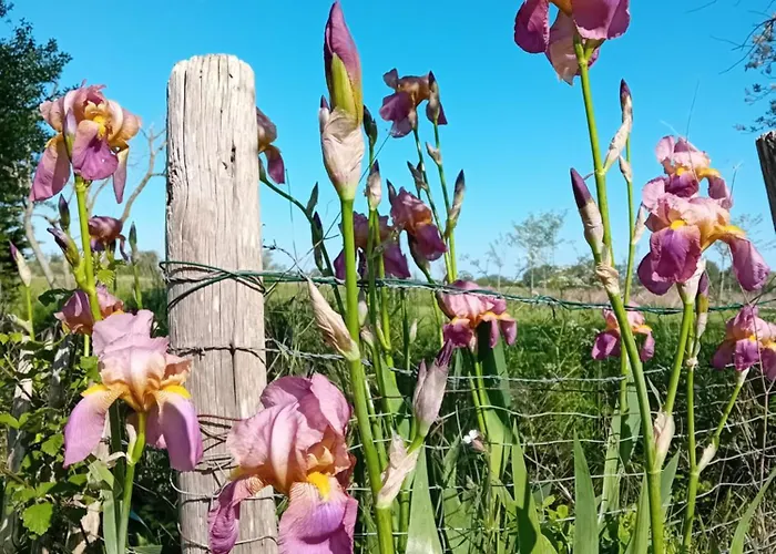 Nocleg ze śniadaniem Bonbeaujoli 3*