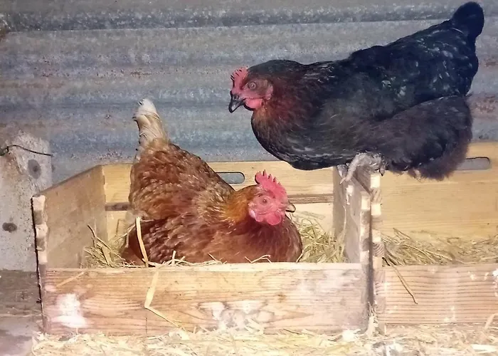 Nocleg ze śniadaniem Bonbeaujoli Saint-Jean-de-Monts